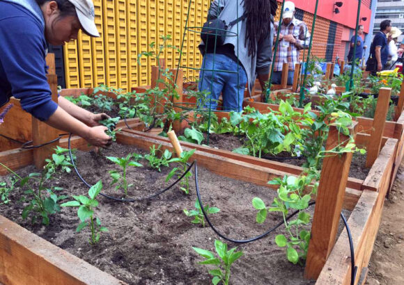 Joe’s Auto Parks Partners with Spring Street Community Gardens