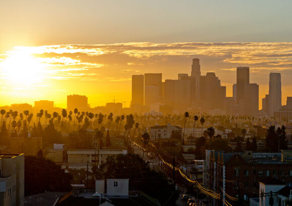 Getting The Show on The Road: A Year In Review and Forecast